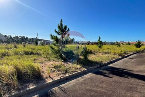 Venda-Terreno-Areias de Cima , Governador Celso Ramos , Santa Catarina , 88190000-590131004-70