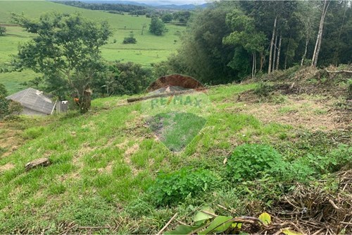 Venda-Terreno-Limoeiro , Itajaí , Santa Catarina , 88318-112-590531040-1