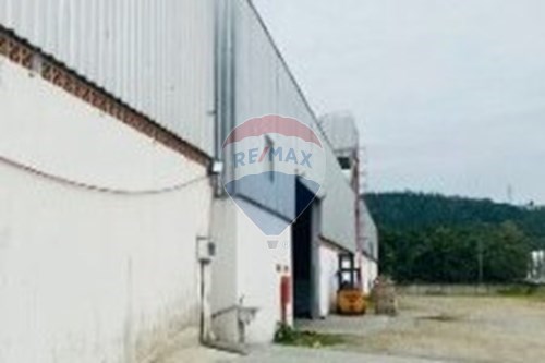 Alugar-Galpão-Rio Pequeno , Camboriú , Santa Catarina , 88340000-590231010-76