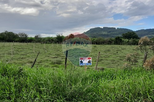 Venda-Terreno-Rua  Rafael Fernandes , 1100  - Centro , Santa Rosa do Sul , Santa Catarina , 88965000-590491005-6