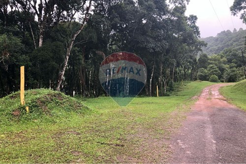 Venda-Terreno-Alto Palmeiras , Rio dos Cedros , Santa Catarina , 89121000-590211051-11