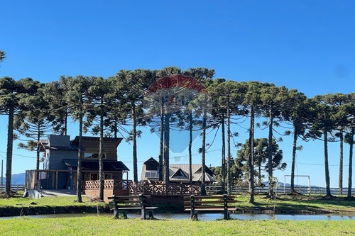 Venda-Terreno-Centro , Painel , Santa Catarina , 88543959-590071003-195