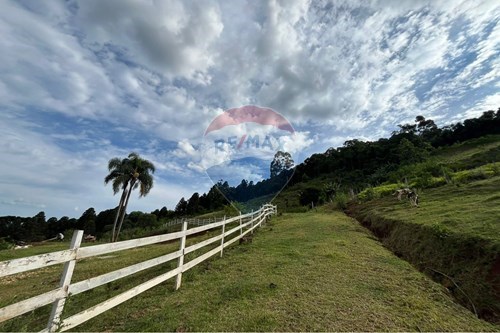 Venda-Chácara / Sítio / Fazenda-Linha Lagoa da Pedra , 3  - Linha Lagoa da Pedra , Xaxim , Santa Catarina , 89825000-590421003-22