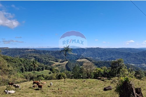 Venda-Chácara / Sítio / Fazenda-Ribeirão Russo , Benedito Novo , Santa Catarina , 89124-000-590211041-20