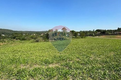 Venda-Terreno-São Vicente , Itajaí , Santa Catarina , 88309250-590321044-24