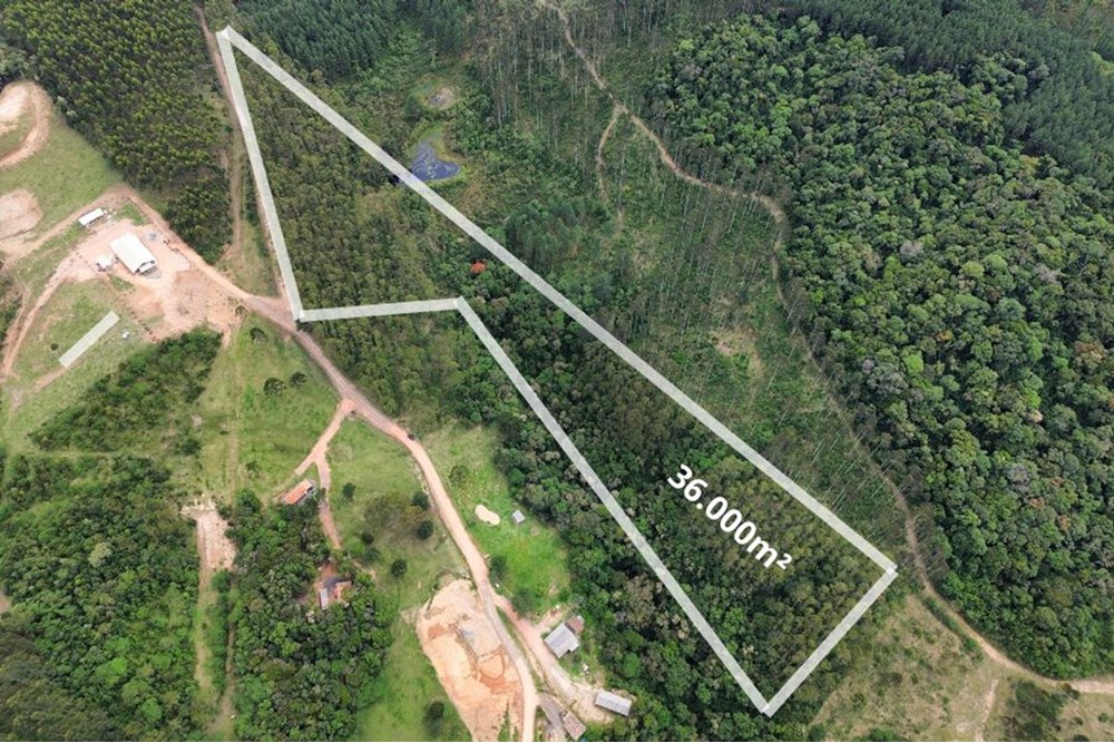 Seu Refúgio: Terreno 36.000m em SC, Meio da Natureza - foto 1