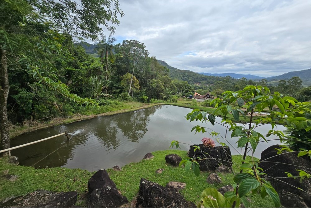 Terreno 524m em Rodeio: Natureza e Conforto! — foto 6