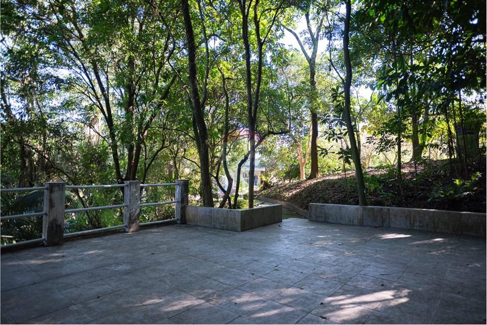 Chácara / Sítio / Fazenda - Venda - Tubarão , Santa Catarina - WhatsApp Image 2025-07-02 at 17.14.46(2).jpeg - 590461003-33