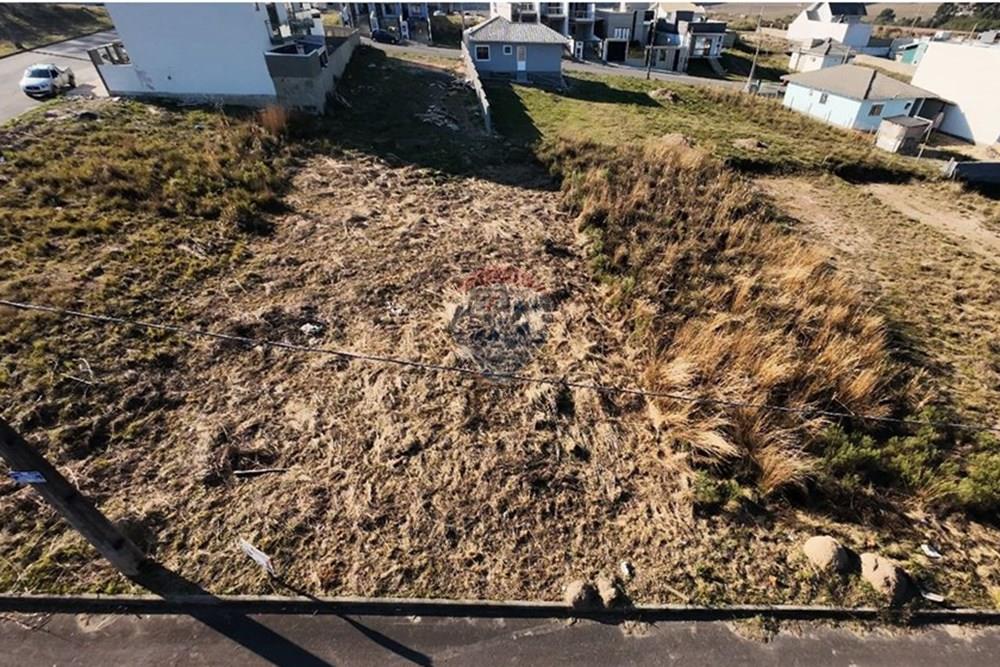 Terreno - Venda - Lages , Santa Catarina - WhatsApp Image 2025-06-24 at 13.17.05 (1).jpeg - 590071043-5