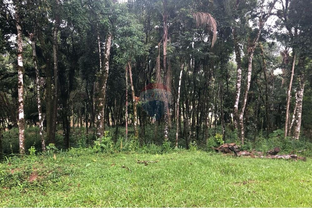 Terreno - Venda - Rio dos Cedros , Santa Catarina - FOTO 07 - .JPG - 590211051-14