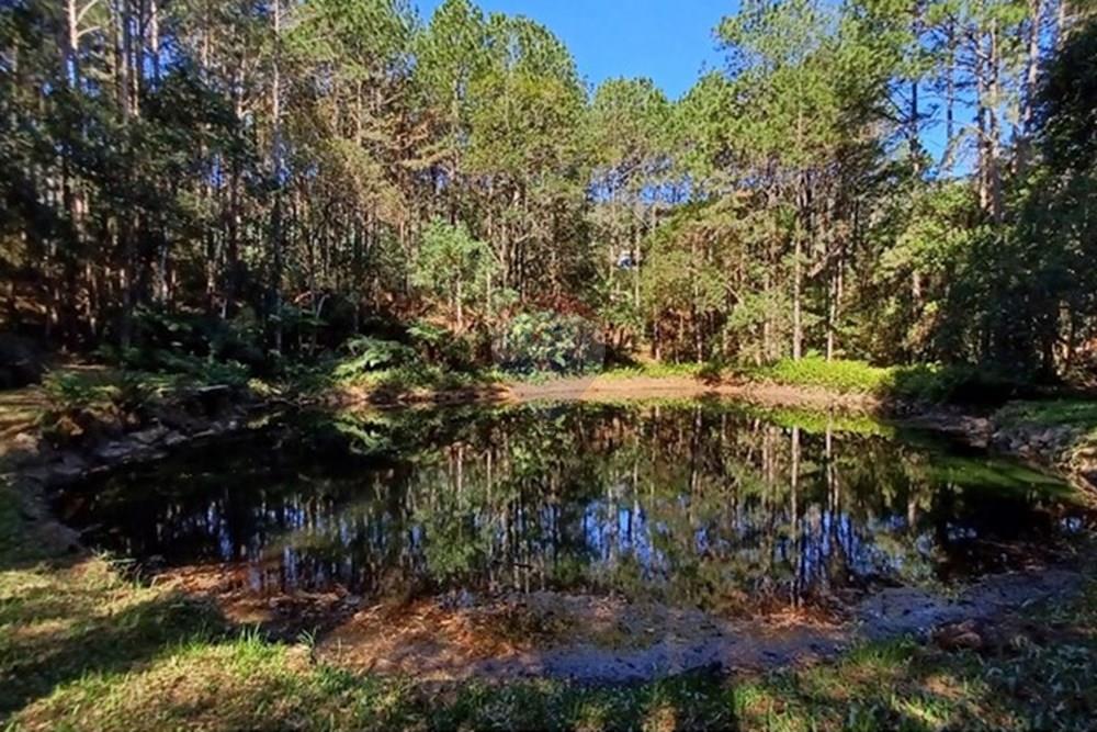 Terreno - Venda - Florianópolis , Santa Catarina - PHOTO-2025-05-15-17-03-22.jpg - 590101001-59