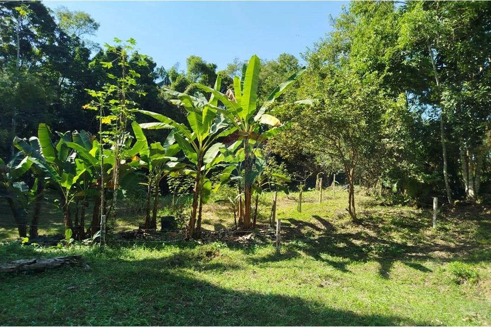 Chácara / Sítio / Fazenda - Venda - Indaial , Santa Catarina - WhatsApp Image 2025-04-23 at 14.49.33 (1).jpeg - 590301044-30