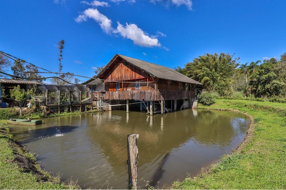 Chácara / Sítio / Fazenda - Venda - Doutor Pedrinho , Santa Catarina - WhatsApp Image 2025-09-09 at 21.06.52.jpeg - 590211064-3