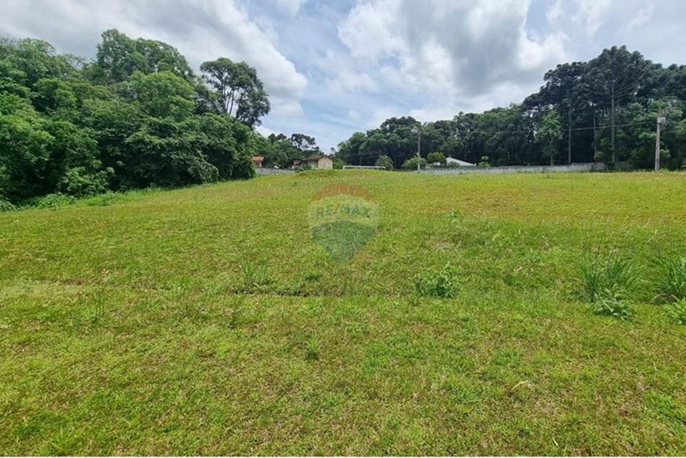 Terreno - Venda - Campo Largo , Paraná - 85c0fe36-b00b-40a0-8b92-614f0d9a62d5.JPG - 590481021-29