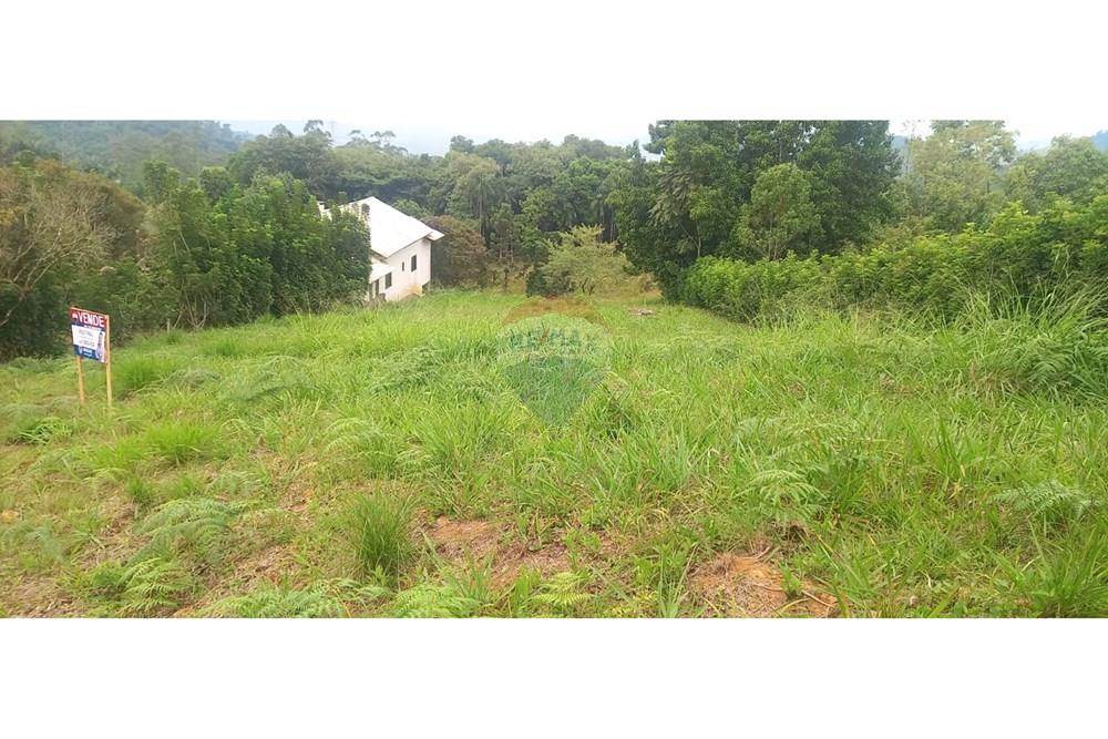 Terreno - Venda - Rodeio , Santa Catarina - WhatsApp Image 2025-05-13 at 14.24.15 (1).jpeg - 590211033-57