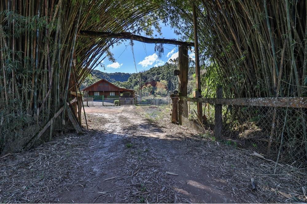 Chácara / Sítio / Fazenda - Venda - Doutor Pedrinho , Santa Catarina - WhatsApp Image 2025-09-09 at 21.14.55 (1).jpeg - 590211064-3