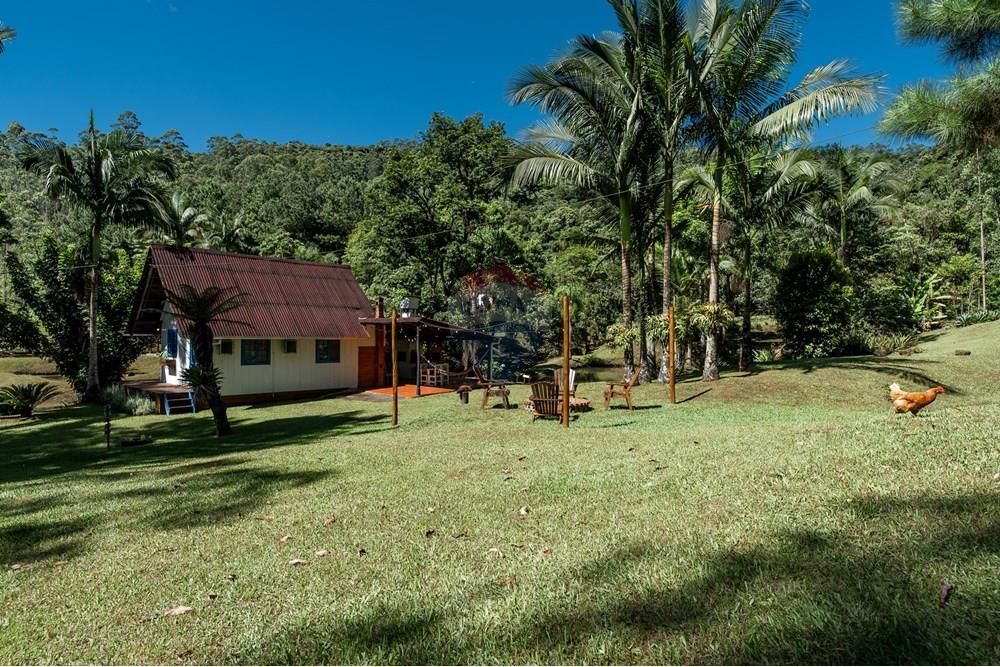 Chácara / Sítio / Fazenda - Venda - Benedito Novo , Santa Catarina - _DSC4141.jpg - 590301034-14