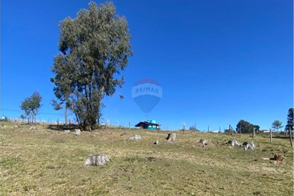 Terreno - Venda - Lages , Santa Catarina - a2c4a99f-25e6-480e-8035-061e6cf87b74.jpg - 590071041-43