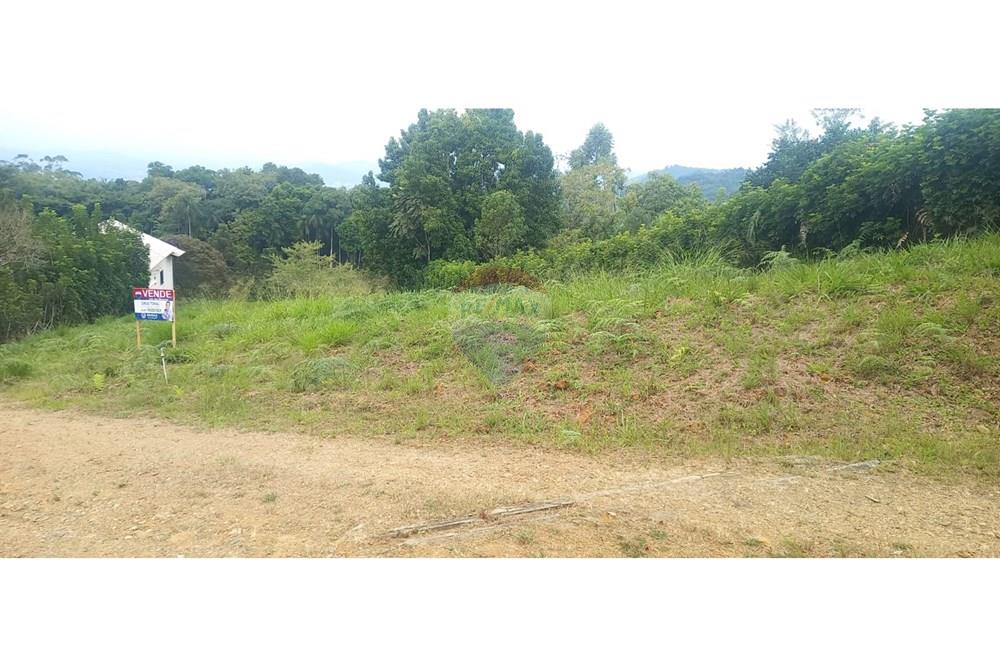 Terreno - Venda - Rodeio , Santa Catarina - WhatsApp Image 2025-05-13 at 14.24.15 (2).jpeg - 590211033-57