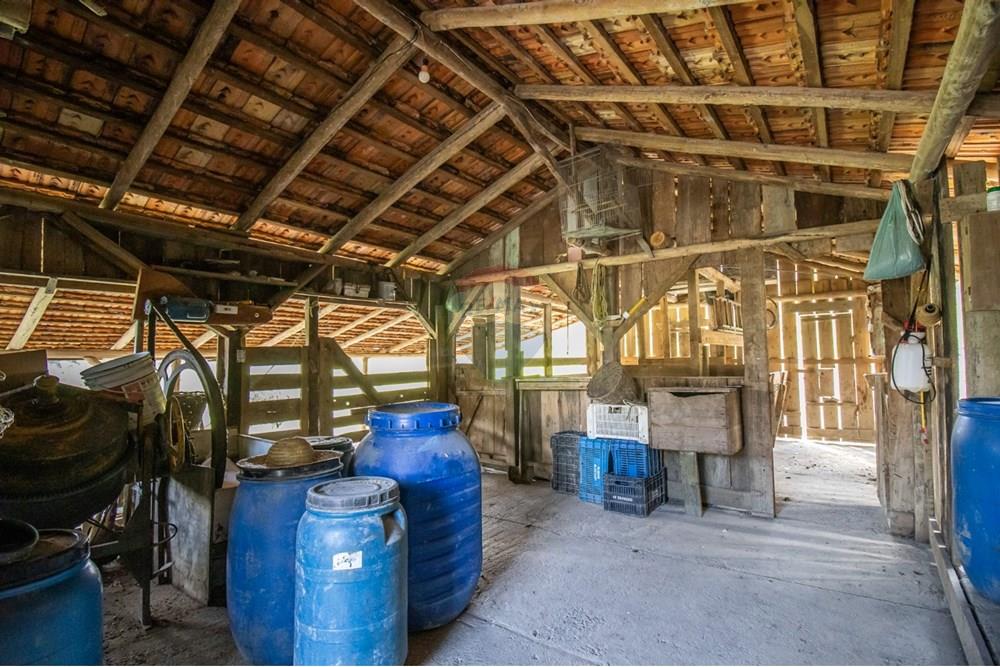 Chácara / Sítio / Fazenda - Venda - Petrolândia , Santa Catarina - WhatsApp Image 2025-02-26 at 16.59.27 (20).jpeg - 590211017-125