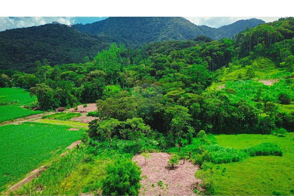 Terreno - Venda - Rio dos Cedros , Santa Catarina - DJI_0055 - Copia.jpg - 590211035-40