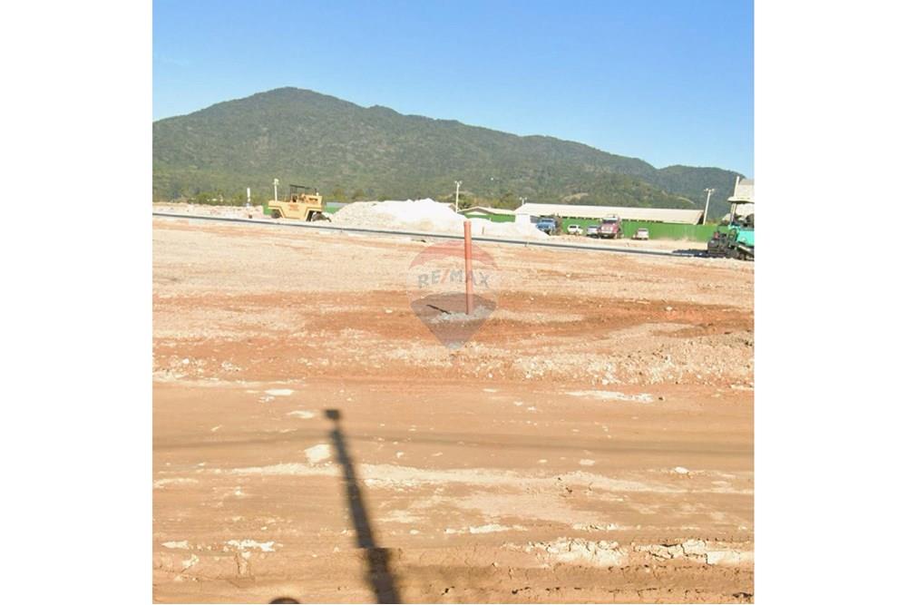 Terreno - Venda - Porto Belo , Santa Catarina - WhatsApp Image 2025-10-31 at 11.17.21.jpeg - 590151006-101