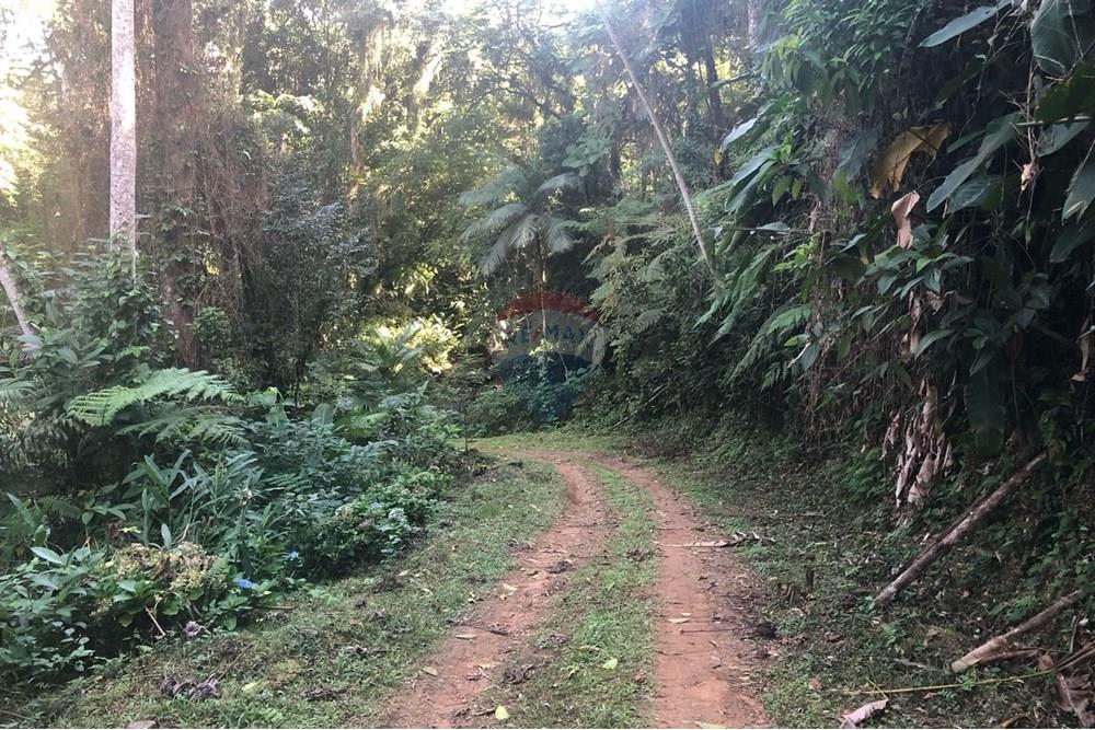 Terreno - Venda - Timbó , Santa Catarina - FOTO 02 - .JPG - 590211051-24