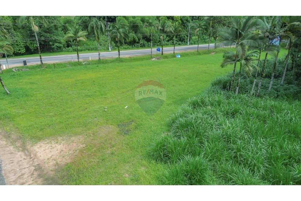 Terreno - Venda - Benedito Novo , Santa Catarina - Imagem do WhatsApp de 2025-02-14 à(s) 13.13.56_0b3ea463.jpg - 590211007-95