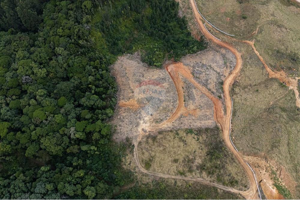 Chácara / Sítio / Fazenda - Venda - São Martinho , Santa Catarina - DJI_20250711082830_0732_D_DJI4.jpg - 590461004-17