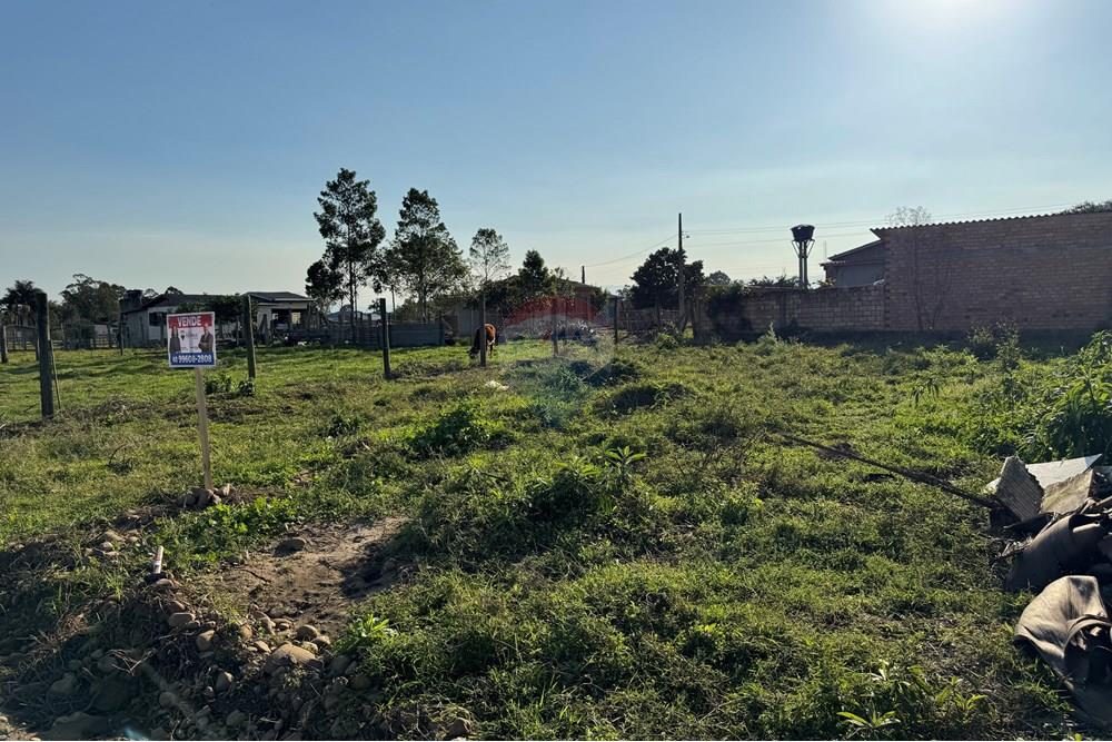 Terreno - Venda - Santa Rosa do Sul , Santa Catarina - IMG_7363.jpg - 590491012-2