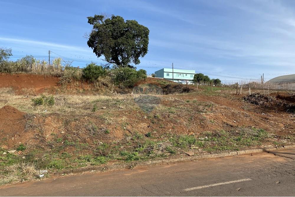 Terreno - Venda - Xaxim , Santa Catarina - IMG_0209(1).JPG - 590421001-233