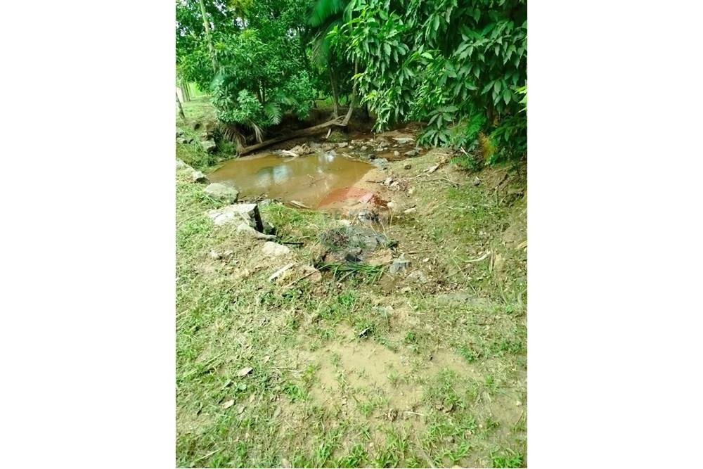 Chácara / Sítio / Fazenda - Venda - Indaial , Santa Catarina - WhatsApp Image 2025-04-04 at 15.05.15.jpeg - 590301044-30