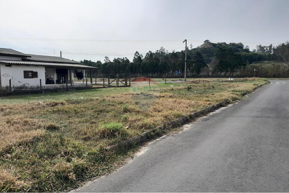 Terreno - Venda - Santa Rosa do Sul , Santa Catarina - 20250726_133436.jpg - 590491005-22