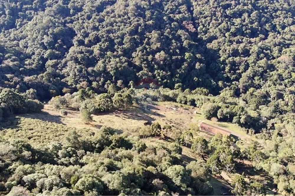 Chácara / Sítio / Fazenda - Venda - Capão Alto , Santa Catarina - WhatsApp Image 2025-07-16 at 2.09.03 PM (1).jpeg - 590071044-10