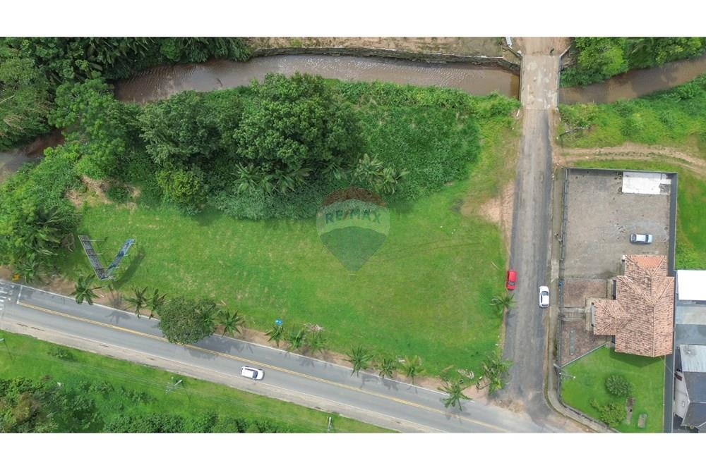 Terreno - Venda - Benedito Novo , Santa Catarina - Imagem do WhatsApp de 2025-02-14 à(s) 13.13.55_ba8bc3cb.jpg - 590211007-95