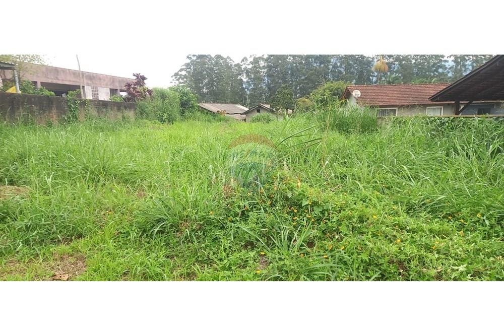 Terreno - Venda - Indaial , Santa Catarina - WhatsApp Image 2025-09-04 at 18.13.31.jpeg - 590211033-67