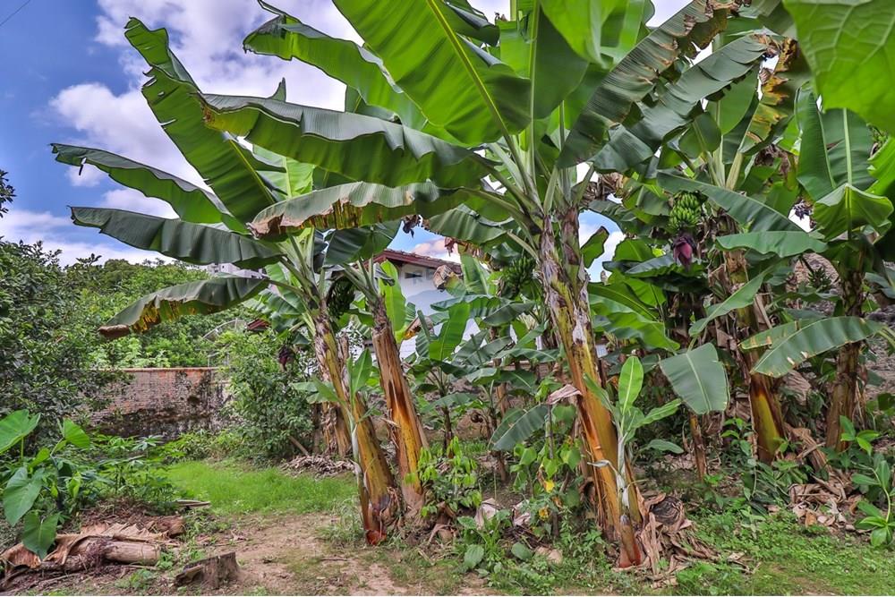 Casa Comercial - Venda - Timbó , Santa Catarina - 9.jpg - 590211024-25