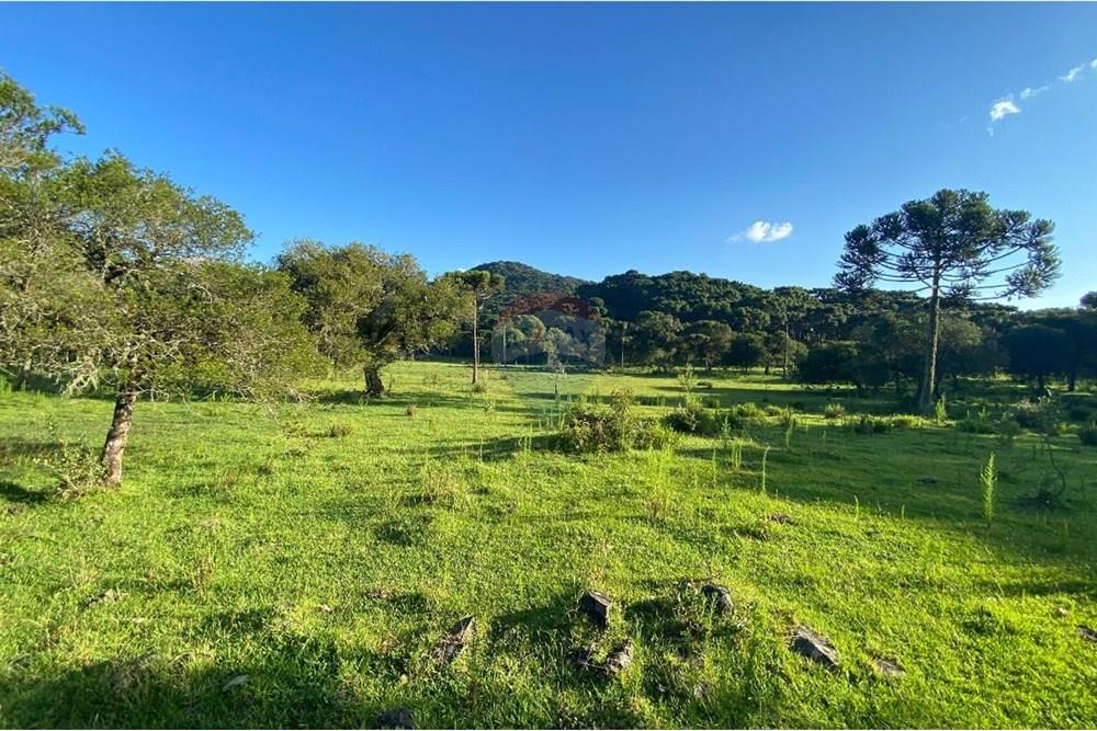Chácara / Sítio / Fazenda - Venda - Painel , Santa Catarina - WhatsApp Image 2025-05-09 at 11.33.26 (1).jpeg - 590071044-16
