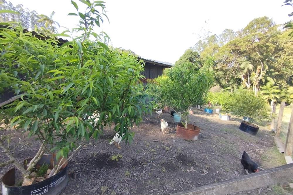 Chácara / Sítio / Fazenda - Venda - Benedito Novo , Santa Catarina - WhatsApp Image 2025-09-17 at 12.15.20 (1).jpeg - 590301034-20