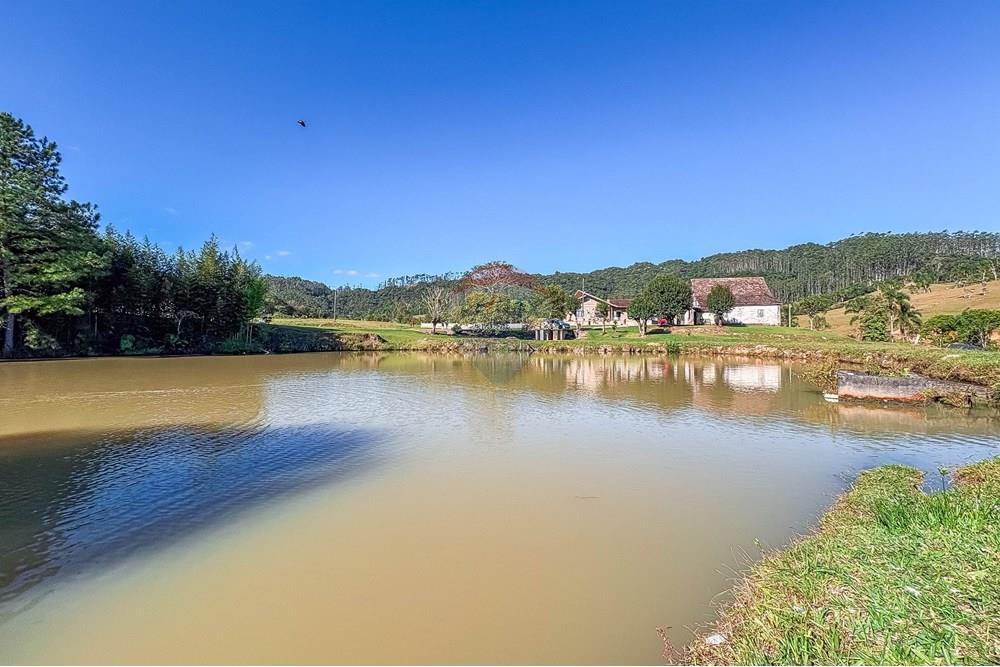 Chácara / Sítio / Fazenda - Venda - Doutor Pedrinho , Santa Catarina - IMG_0728.jpg - 590211007-102