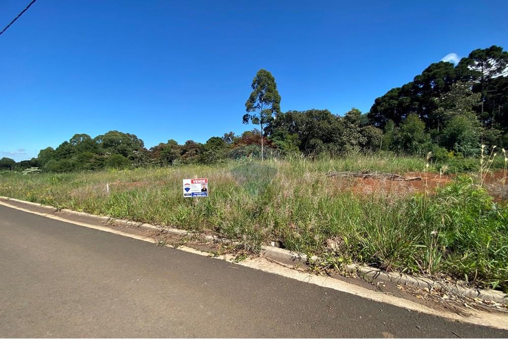 Terreno - Venda - Xaxim , Santa Catarina - IMG_7420.jpg - 590421003-26