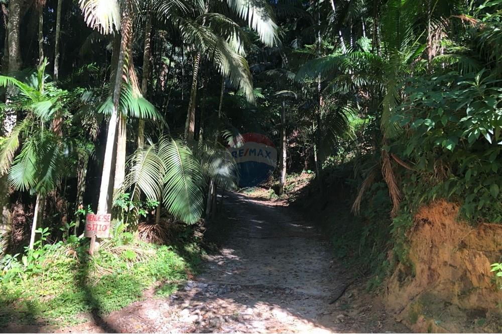 Chácara / Sítio / Fazenda - Venda - Timbó , Santa Catarina - FOTO 02 - .JPG - 590211051-38