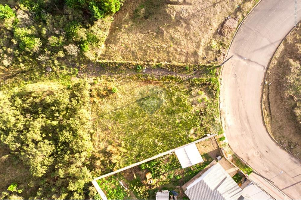 Terreno - Venda - Lages , Santa Catarina - 005 25-05-26 Terreno Verdes Campos CRIS REMAX.JPG - 590071009-89