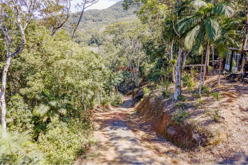 Chácara / Sítio / Fazenda - Venda - Itapema , Santa Catarina - 16 (1).jpg - 590401053-3