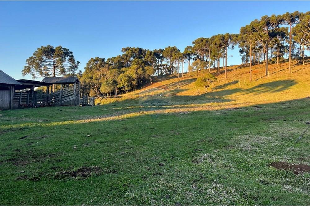 Chácara / Sítio / Fazenda - Alugar - Capão Alto , Santa Catarina - 1663ea10-1376-4a72-b023-e263afdaf2c3.jpg - 590071036-109