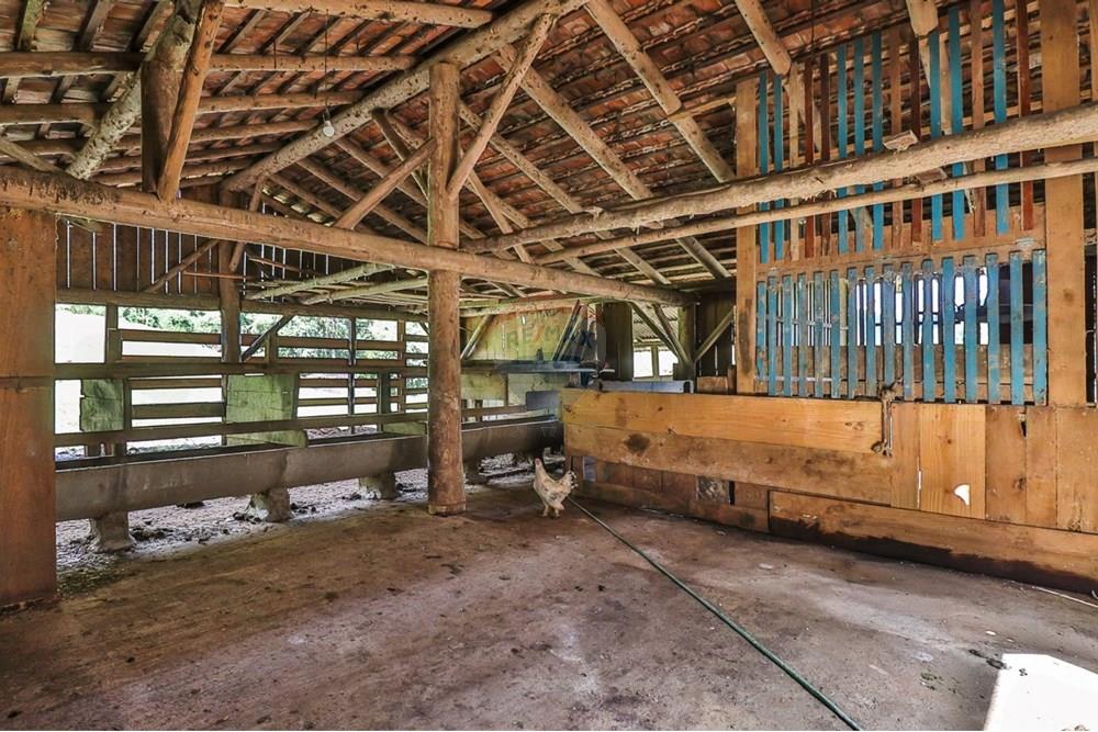 Chácara / Sítio / Fazenda - Venda - Rio dos Cedros , Santa Catarina - 1eb9658c-9273-4893-bb64-67682391287d.jpeg - 590211035-78