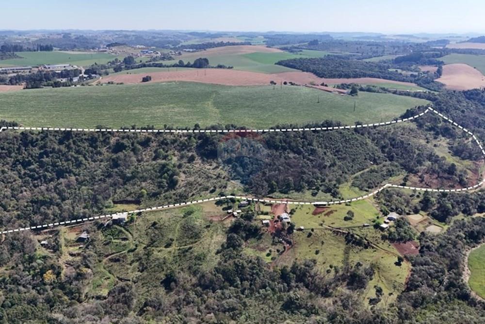 Chácara / Sítio / Fazenda - Venda - Xaxim , Santa Catarina - WhatsApp Image 2025-09-22 at 14.21.37 (1).jpeg - 590421017-6