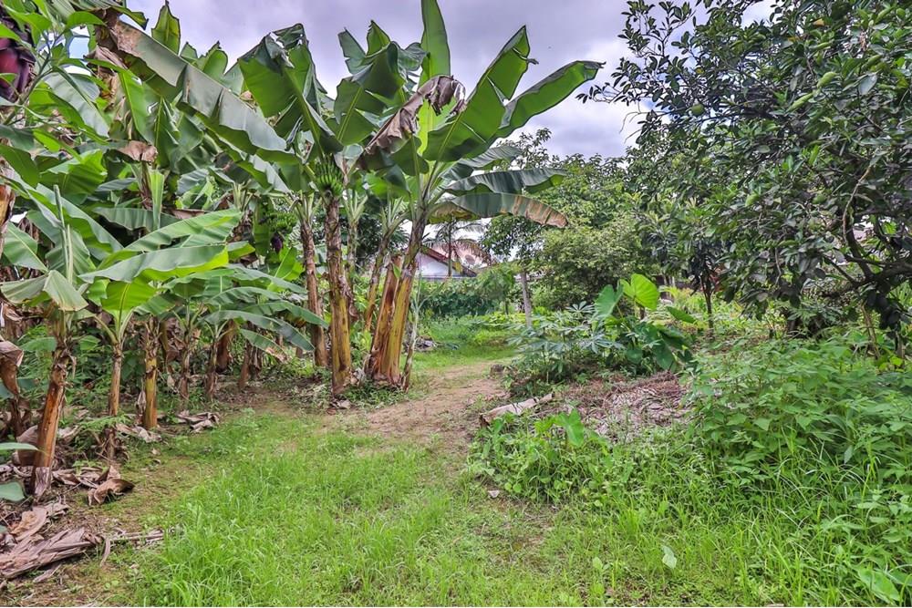 Residential - Jord - Timbó , Santa Catarina - BR - WhatsApp Image 2025-09-11 at 14.10.11.jpeg - 590211046-15