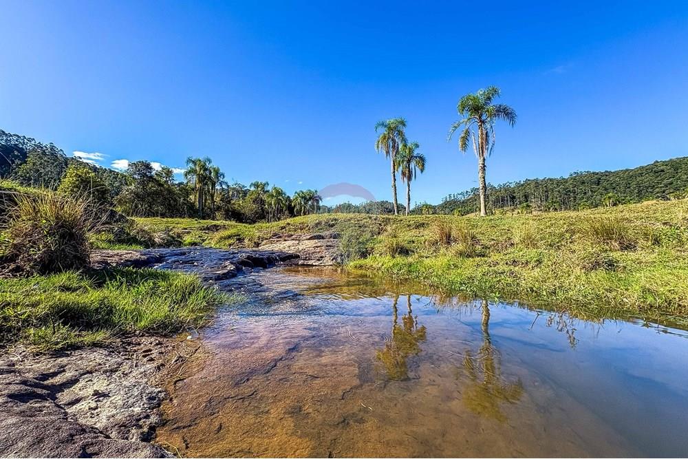 Chácara / Sítio / Fazenda - Venda - Doutor Pedrinho , Santa Catarina - 12.jpg - 590211007-102