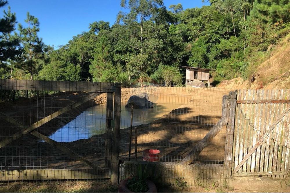 Chácara / Sítio / Fazenda - Venda - Timbó , Santa Catarina - FOTO 13 - .JPG - 590211051-38
